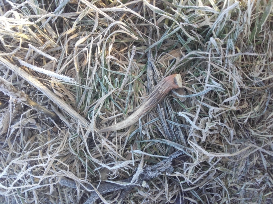 Co som hladal,to som nasiel!