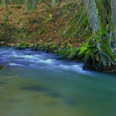 potok