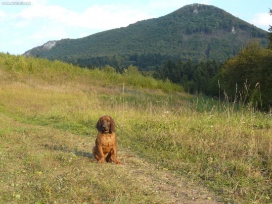 Amor(štyri mesiace)