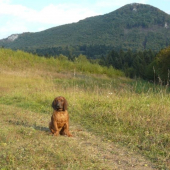 Amor(štyri mesiace)