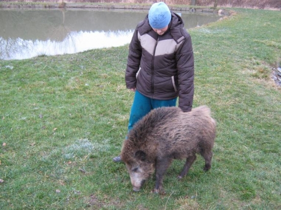 Náš mladej a Kadel po pěti měsících