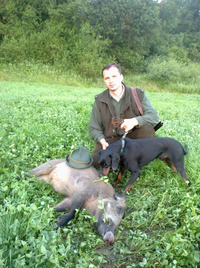 Lanštiačik na ďateline