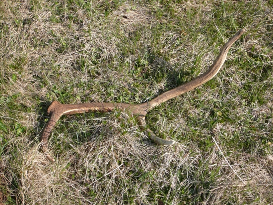Všetko treba pozbierať