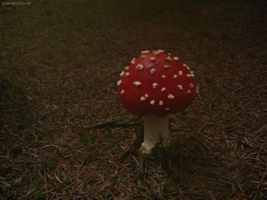 No nie som pekná........