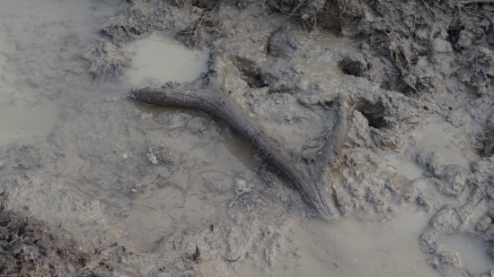 Bola to fuška očistiť ho