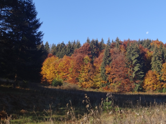 Najkrajšie obdobie