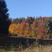 Najkrajšie obdobie
