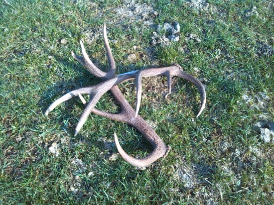 Takto na mňa čakali