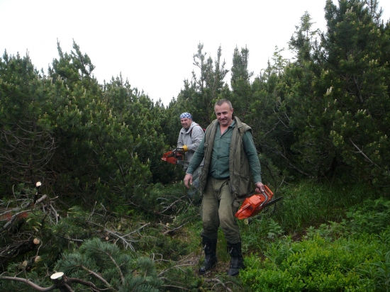 Prerezávka chodníka