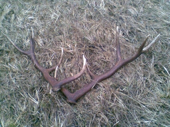 Takto som ich našiel