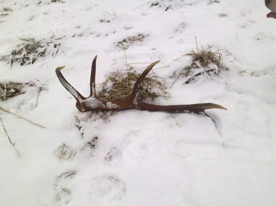 10.torak prvy pohlad