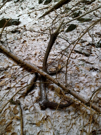 takto tam namna cakal rok