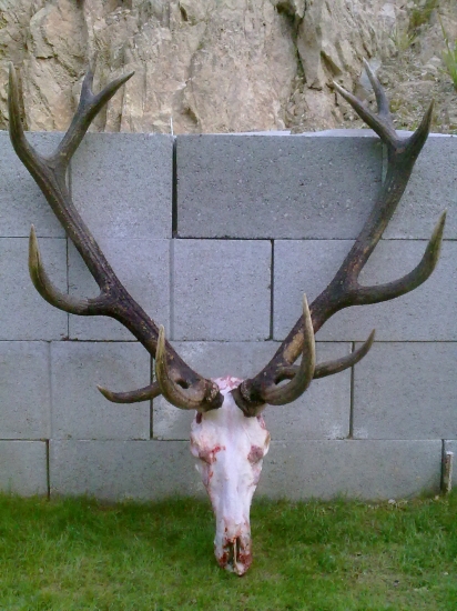 vysnivana 60.tka pre otca