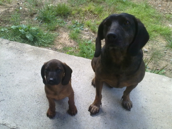 nikdy navas nezabudneme