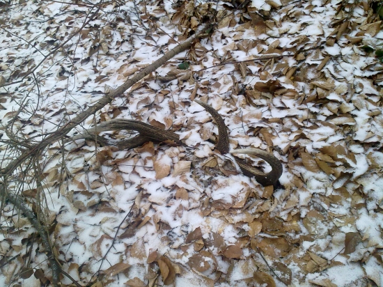 takto tam namna cakal rok