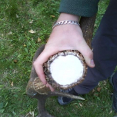 co poviete kolko ma bodov?