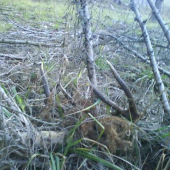 dva roky po sebe 10,torak