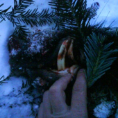 skoda ze je odlomeny