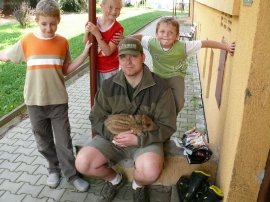 dnešní sele