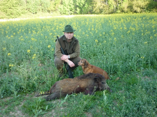 Lončák z dnešního rána (5.5.2012)