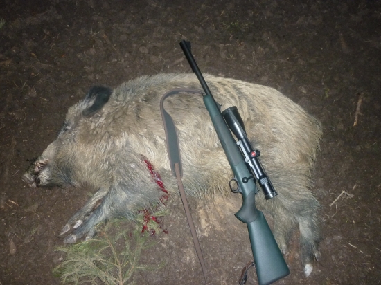 lončák z 13.1.2014