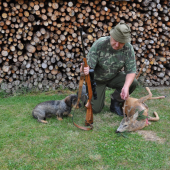 Tátův 7 letý srnec