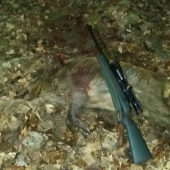 sele z rudlu 27 prasat