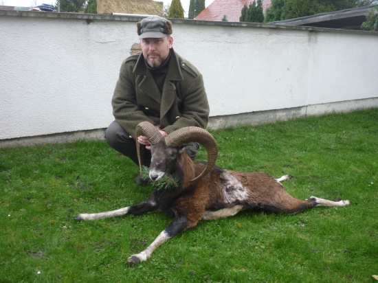 Můj první muflon, střelený u kamaráda