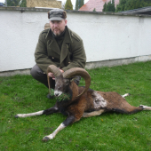 Můj první muflon, střelený u kamaráda