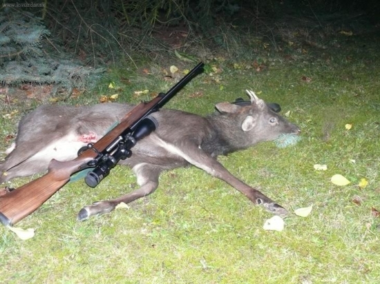 sikáček z 20.10.2009