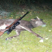 sikáček z 20.10.2009