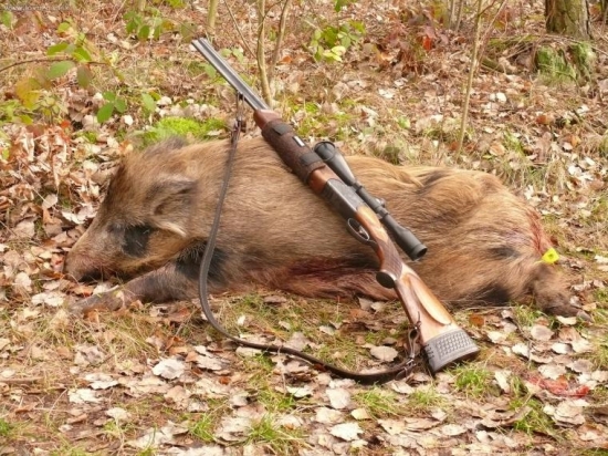 našoulaná bachyňka