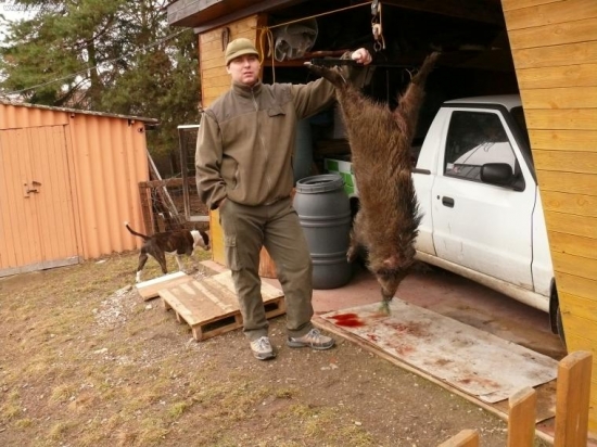 sele na 227m , 26.2.2009