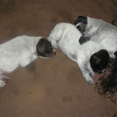 pár dní po narodení