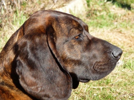 Dona spod Dubia- niečo ju zaujalo.