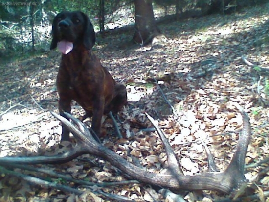 Na koniec sezony nachádzam také.