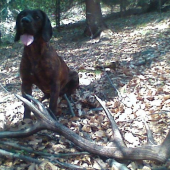 Na koniec sezony nachádzam také.