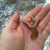 začiatok sezony - mini - maxi