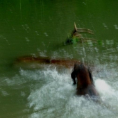 Úspešný záver dohľadávky Gero Lesnícka lúka