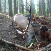 Skús mi ho zobrať- toho som dohľadal ja- Gero Les. lúka