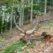 Ďalšia super- 7,5 km práca Gero Les. lúka