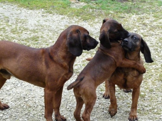 A teraz Vás premôžem !