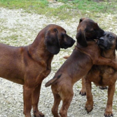 A teraz Vás premôžem !