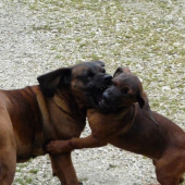 Asi jej idem na nervy- Vessa