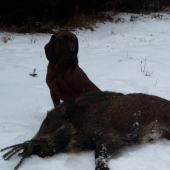 Záver 33- tej úspeš. dohľadávky Gero Les. lúka v tejto sez.