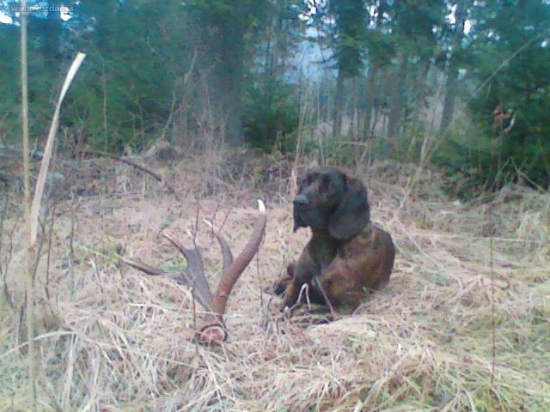 Poobedňajší odpočinok.