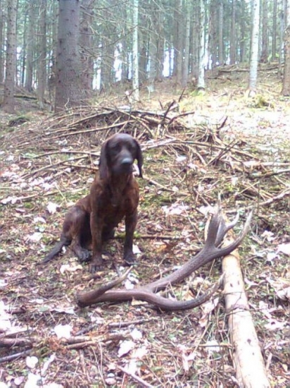 Dnešný 3 kg 14- torák