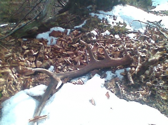 Dnešný zatiaľ ľudskou rukou nedotknutý.