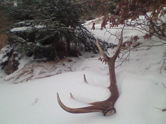 Ďalší do zbierky.