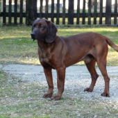 Môj Gero Lesnícka lúka